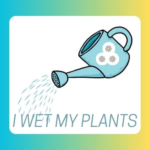 Plant package