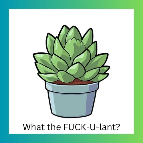 Plant package